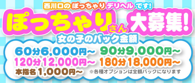 ぽちゃメイドのぽっちゃり求人画像