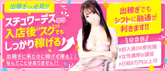 新潟スチュワーデスの出稼ぎ求人画像