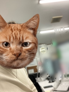 今日もタモツです★のアイキャッチ画像