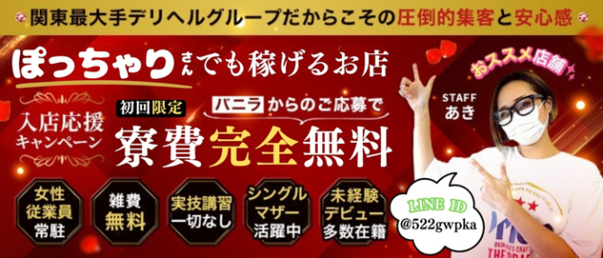 小田原人妻城(モアグループ)のぽっちゃり求人画像