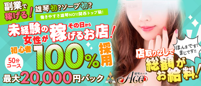 ACEの未経験求人画像
