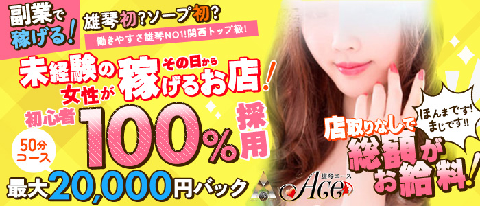 ACEの未経験求人画像