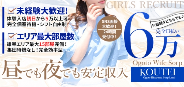 コウテイの求人画像