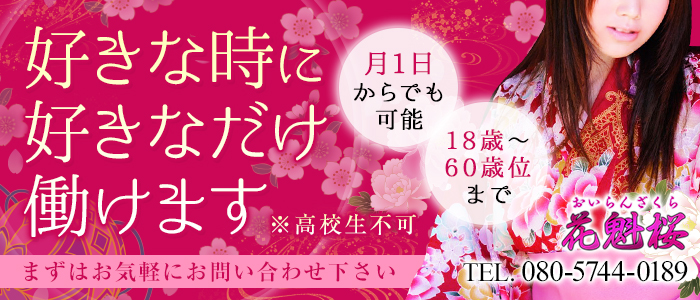 花魁桜 盛岡店