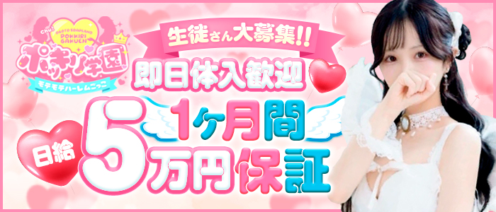 ポッキリ学園~モテモテハーレムごっこ~の求人画像