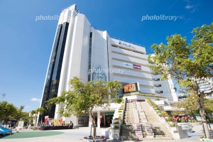 🌺 地元の子に、正直な話〜 🌺のアイキャッチ画像