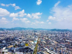 驚異の77.2%!!