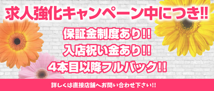 奥様の秘密のお仕事の人妻・熟女求人画像