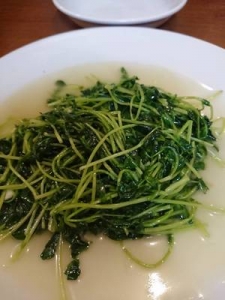 豆苗のアイキャッチ画像