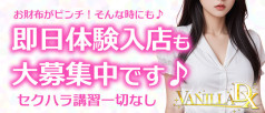 VANILLA DX(バニラデラックス)