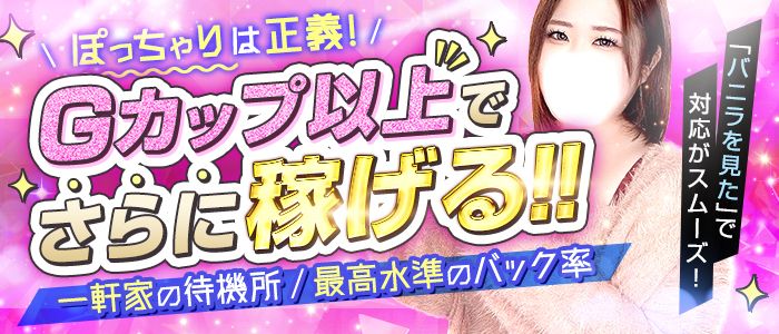BBW大宮のぽっちゃり求人画像