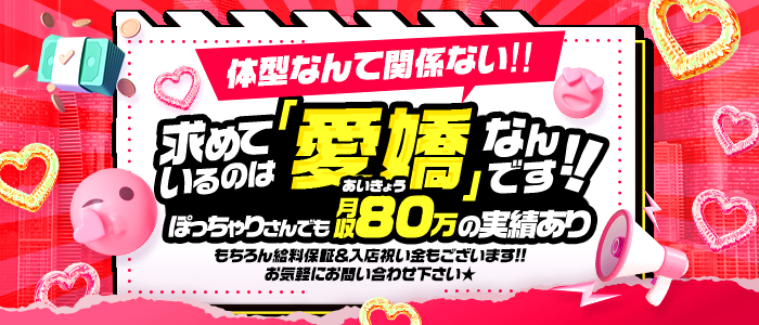 One More 奥様 横浜関内店のぽっちゃり求人画像