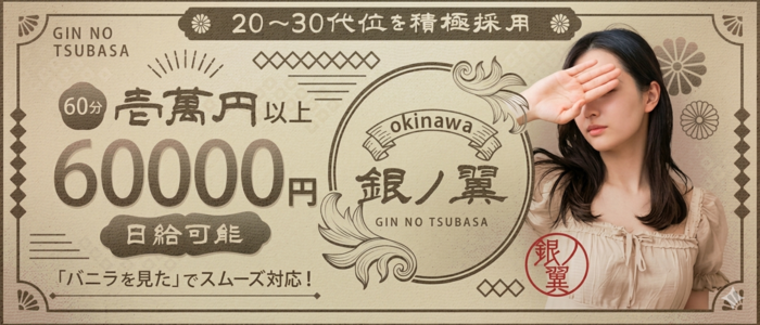 okinawa -銀ノ翼-