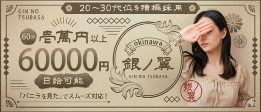 okinawa -銀ノ翼-