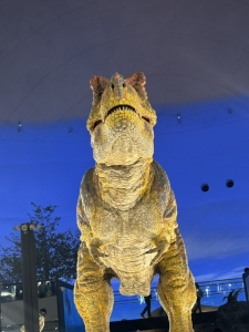 徹底した身バレ対策のアイキャッチ画像