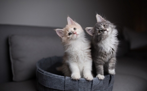 【空き時間に面接できます】面接だけなら30分！体験入店は3時間ぐらいからOKです。のアイキャッチ画像