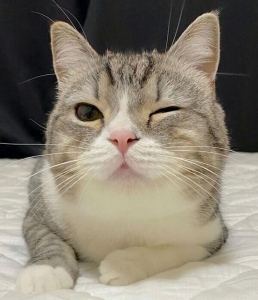 踏み出す一歩が大事です！一緒に頑張りましょう♪のアイキャッチ画像