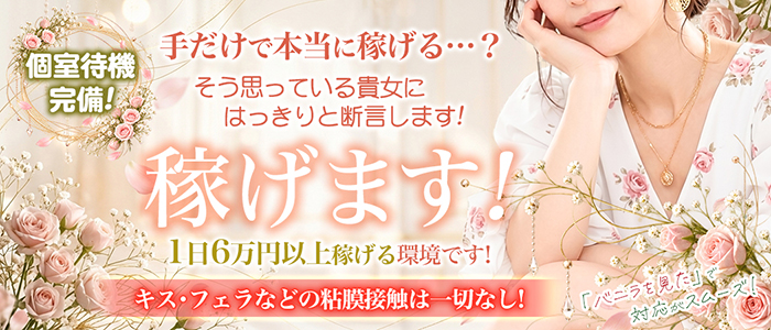 ミセスの手ほどき大久保・新大久保店の求人画像