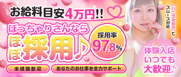 おっぱい ぱらだいすのぽっちゃり求人画像