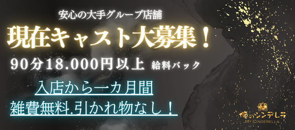 俺のシンデレラの求人画像