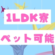 折り紙 ORIGAMIの宿泊施設画像3