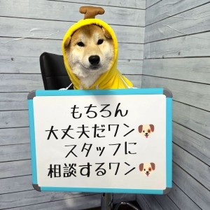 系列店に体験入店することは可能ですか？🏠✨のアイキャッチ画像