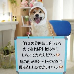 ソープは清楚系の女の子の方が受けがいいのでしょうか？のアイキャッチ画像