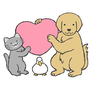 入店祝金・新人保証を贈与中のアイキャッチ画像