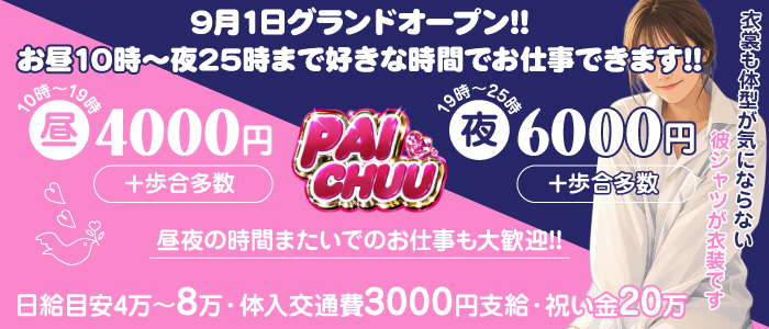 PAICHUUの求人画像