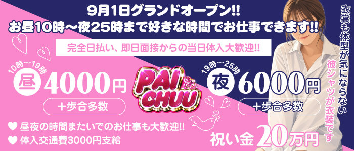 PAICHUUの体験入店求人画像