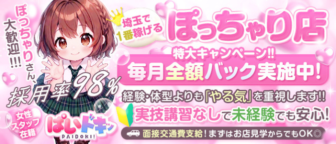 ぱいドキッのぽっちゃり求人画像