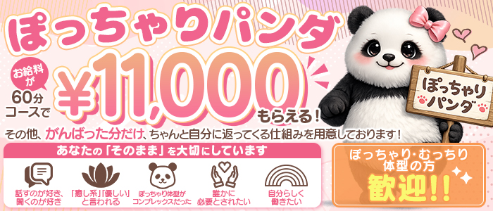 ぽっちゃりパンダ五反田の求人画像