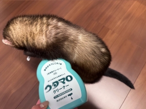 掃除好きのおすすめ🧹🧴のアイキャッチ画像