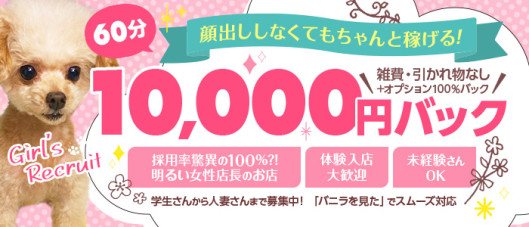 セレブ パラダイス