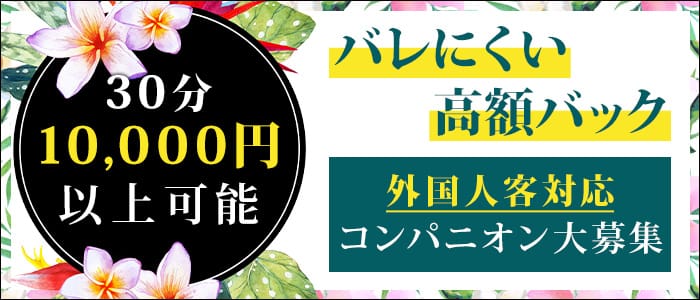 パラダイス