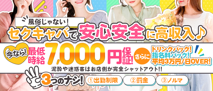 玉手箱のぽっちゃり求人画像