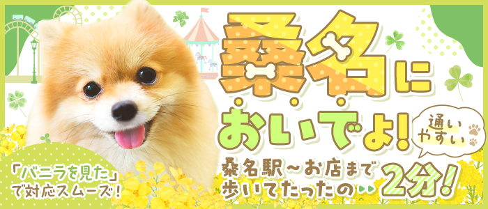 ピーチパイ