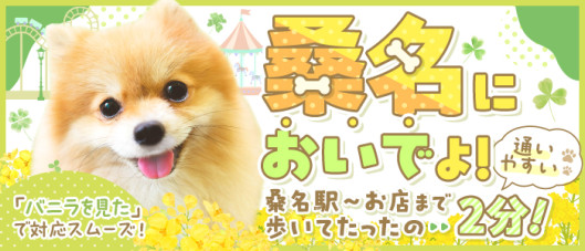 ピーチパイ
