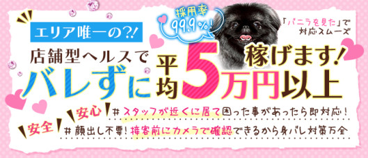 ピンクのカーテン