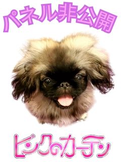 匿名希望さん 