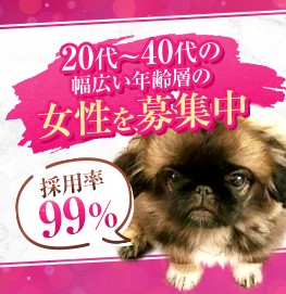 コースと唯一のオプション紹介♪のアイキャッチ画像
