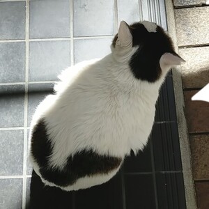 仕事の一環ですよ♪のアイキャッチ画像