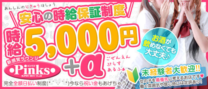 CLUB PINKSのぽっちゃり求人画像
