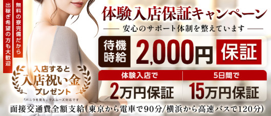 脱がされたい人妻 木更津店