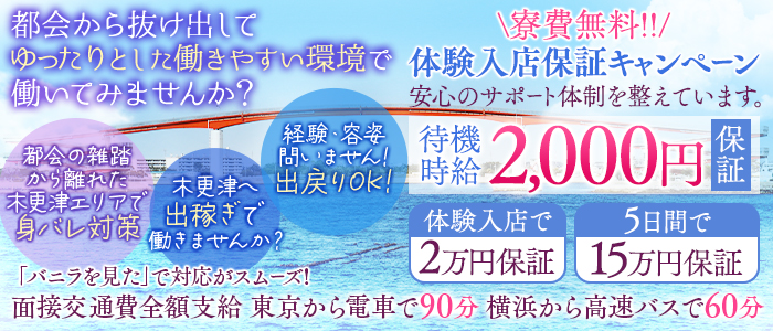 脱がされたい人妻 木更津店