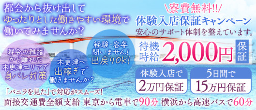 脱がされたい人妻 木更津店