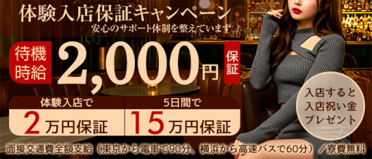 脱がされたい人妻 木更津店