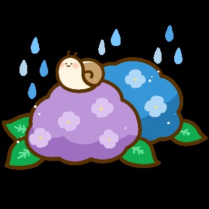 梅雨のアイキャッチ画像