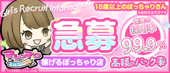 ぽっちゃりmateマシュマロのぽっちゃり求人画像
