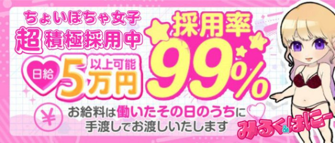 みるく&はにーのぽっちゃり求人画像